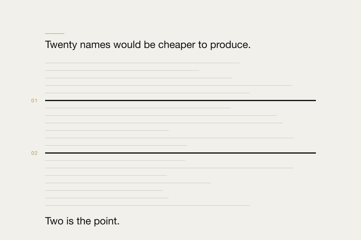 Many candidates considered, two picked out